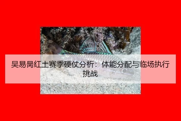 吴易昺红土赛季硬仗分析：体能分配与临场执行挑战